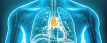 Mediastinal Mass Surgical Treatment