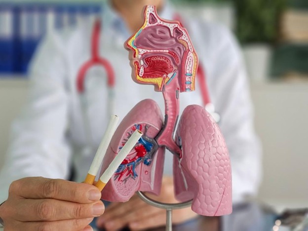 Sevoflurane Pharmacological Characteristics | Shaanxi BLOOM Tech Co., Ltd Sevoflurane Pharmacological Characteristics | Shaanxi BLOOM Tech Co., Ltd