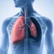 What Is a Pneumothorax Collapsed Lung Causes and Emergency Signs | George thoracic Medical illustration of a male upper torso showing the lungs and trachea, with the left lung highlighted in pink.